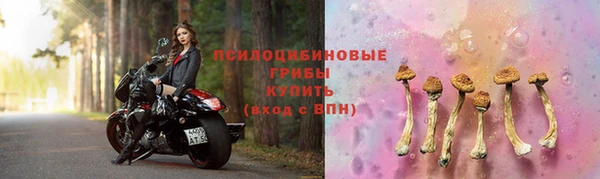 винт Заводоуковск