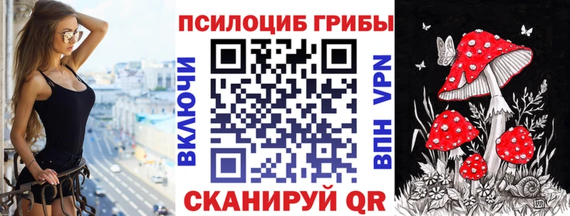 Купить закладки  Дмитриев  Псилоцибиновые грибы мицелий 